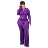 Plus Size Purple Ruched Crop Top and Pants Two Piece Set
