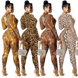 Snake Skin Long Sleeves V-Neck Fitted Top and Pants Two Piece Set