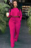 Rose Flounce Long Sleeves Crop Top and High Waist Pant Two Piece Set