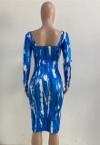 Print Blue Long Sleeve Midi Skinny Dress