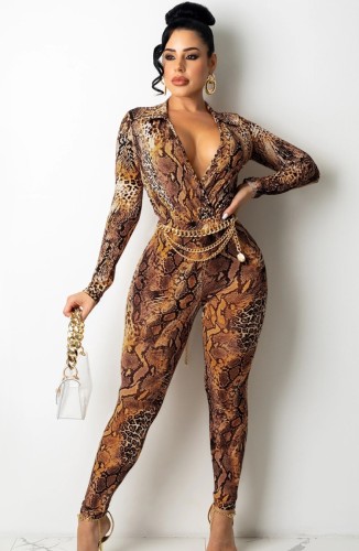 Snake Skin Long Sleeves V-Neck Fitted Top and Pants Two Piece Set
