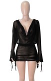 Black See Through Long Sleeve Backless Crop Top and Mini Skirt Two Piece Set