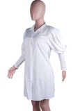 White Lantern Sleeve Button Up Blouse Dress