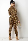 Leopard Long Sleeves V-Neck Fitted Top and Pants Two Piece Set
