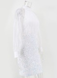 White Sequins Turtleneck Mesh Long Sleeve Midi Dress