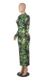 Green Snake Printed Zipper Up High Neck Long Dress