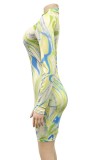 Print Long Sleeve High Neck Slinky Dress
