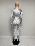 Grey Velvet Long Sleeve V-Neck Crop Top and Overlap Pants Two Piece Set