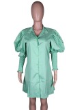 Green Lantern Sleeve Button Up Blouse Dress