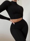 Black Ribbed Turtleneck Long Sleeves Crop Top and Pants Two Piece Set