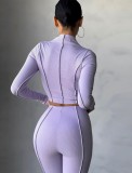 Purple Ribbed Turtleneck Long Sleeves Crop Top and Pants Two Piece Set