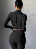 Black Ribbed Turtleneck Long Sleeves Crop Top and Pants Two Piece Set