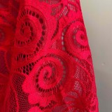 Red Lace Patch V-Neck Puff Sleeve Sheath Midi Dress