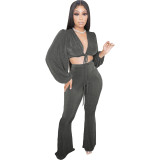Velvet Gray Puff Sleeve Crop Top and Flare Pants 2PCS Set