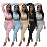 Black Knitted Zipper Hooded Crop Top and Pants 2PCS Set