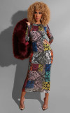 Print Colorful Long Sleeve Crop Top Bodycon Midi Dress