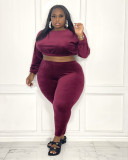 Plus Size Brown Velvet Crop Top and Pants Two Piece Set