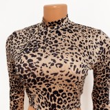 Leopard Print Long Sleeve Fitted Crop Top