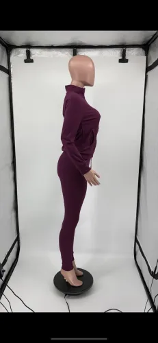 Purple Zip Up Long Sleeve Top and Drawstring Pants 2PC Set