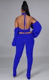 Blue Cut Out Open Back Crop Top and Ruched Pants 2PC Set