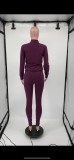 Purple Zip Up Long Sleeve Top and Drawstring Pants 2PC Set