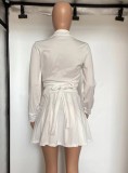 White Turndown Collar V-Neck Blouse and Mini Pleated Skirt Two Piece Set