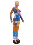 Colorful Print Turtleneck Long Sleeve Maxi Skinny Dress