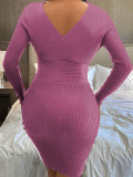 Purple Ribbed V-Neck High Waist Short Dress