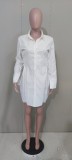 White Turndown Collar Lace Up Blouse Dress