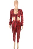 Print Red knotted V-Neck Crop Top and Fitted Pants 2PCS Set