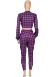 Print Purple knotted V-Neck Crop Top and Fitted Pants 2PCS Set