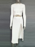 White Elegant Knit Crop Top and Slit Pleated Midi Skirt 2PCS Set