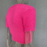 Plush Hot Pink Short Sleeves Crop Top