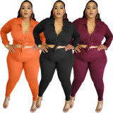 Plus Size Burgundy Blouse and Pants Two Pieces