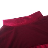 Burgundy Velvet and Mesh Patchwork Long Sleeve Midi Dress