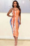 Multi Color Print Backless Cami Long Slinky Dress