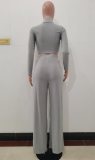 Gray High Neck Fitted Crop Top and Loose Pants 2PCS Set