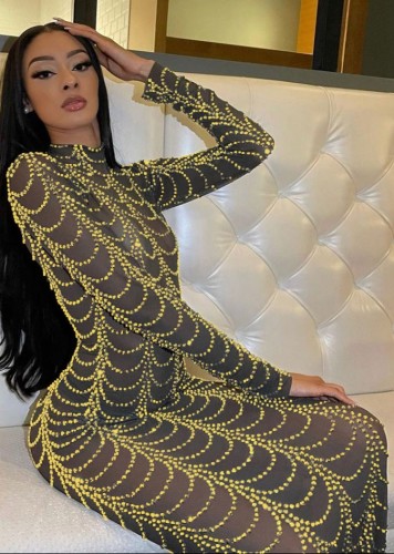 Gold Beaded See Through Turtleneck Long Fitted Dress