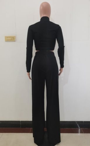 Black High Neck Fitted Crop Top and Loose Pants 2PCS Set