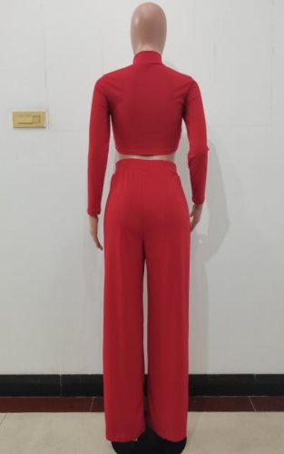 Red High Neck Fitted Crop Top and Loose Pants 2PCS Set