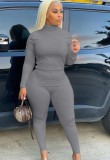 Plus Size Grey Turtleneck Fitted Top and Pant 2PCS Set
