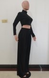 Black High Neck Fitted Crop Top and Loose Pants 2PCS Set
