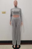 Gray High Neck Fitted Crop Top and Loose Pants 2PCS Set