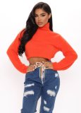 Orange Plush High Neck Long Sleeve Pullover Crop Top