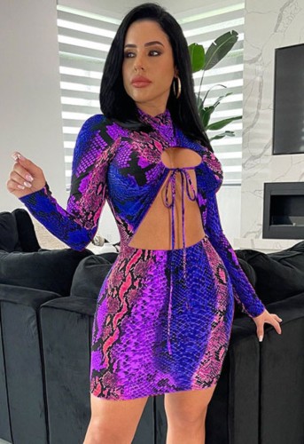 Colorful Snake Print Lace Up Hole Long Sleeve Bodycon Dress