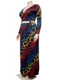 Plus Size Multicolor Leopard V-Neck Crop Top and Maxi Skirt 2PCS Set