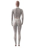 White Lace V-Neck Tight Crop Top and High Waist Pants 2PCS Set