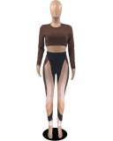 Print Brown O-Neck Fitted Crop Top and High Waist Pants 2PCS Set