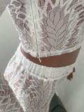 White Lace V-Neck Tight Crop Top and High Waist Pants 2PCS Set