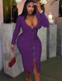Plus Size Purple V-Neck Zipper Up Midi Sheath Dress